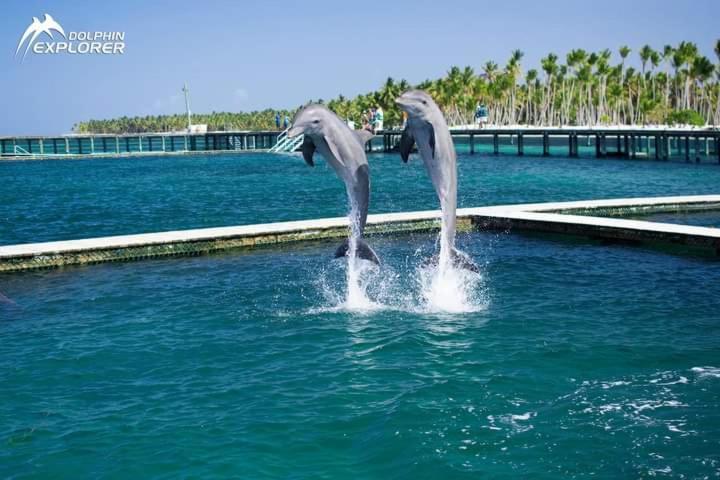 Caribbean&sun Punta Cana Exterior foto